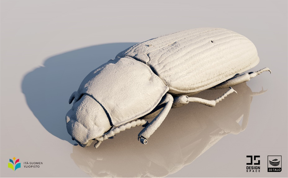 3D-kuva jauhopukki-kovakuoriaisesta.